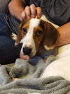 Duke