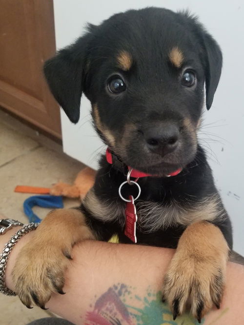 Charlie