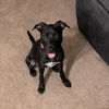 Nikita