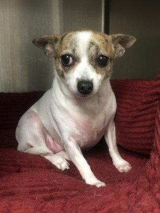 Juanita