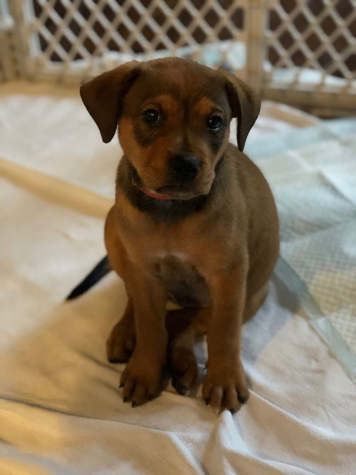 Ethel