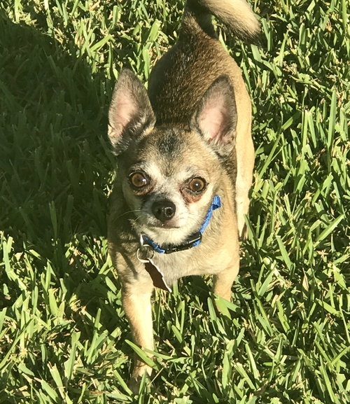 Rusty