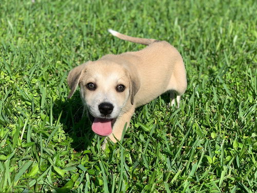Marley