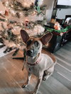 Millie