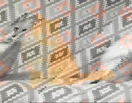 Dorito
