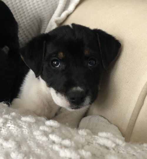 Winnie