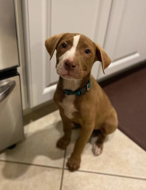 Benny