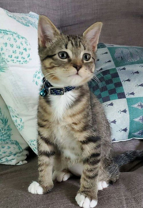 Kiki