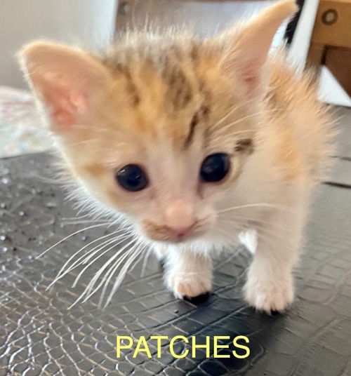 Patches