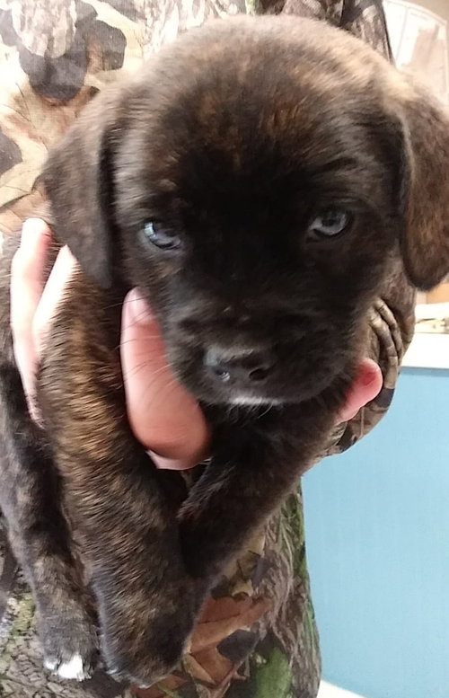Charlie