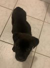 Winston