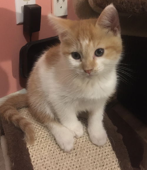 Max