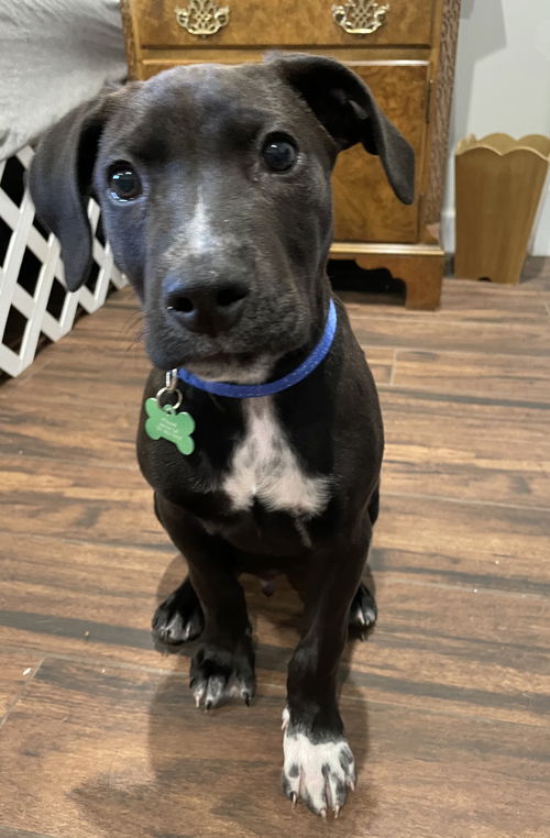 Ernie
