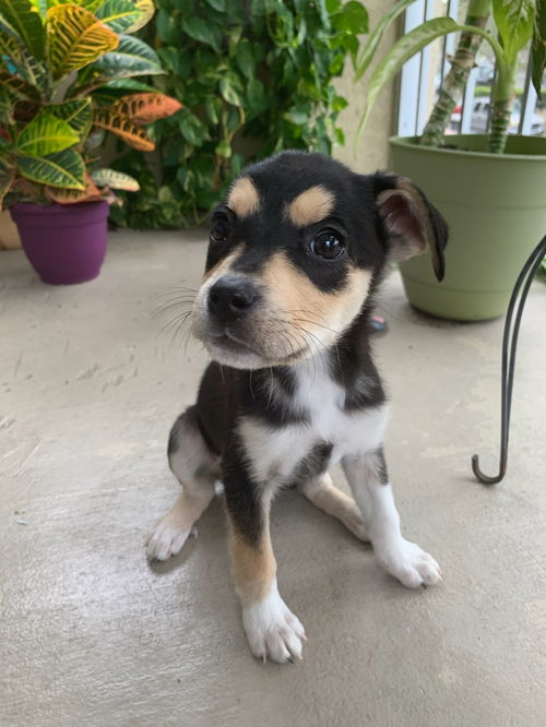 Ellie