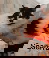 Searra