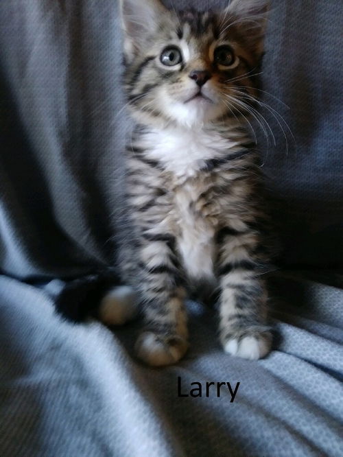 Larry