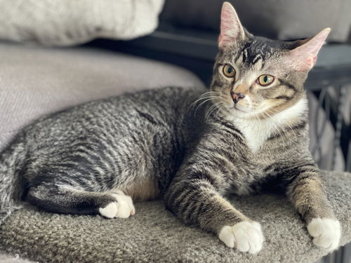 Walter