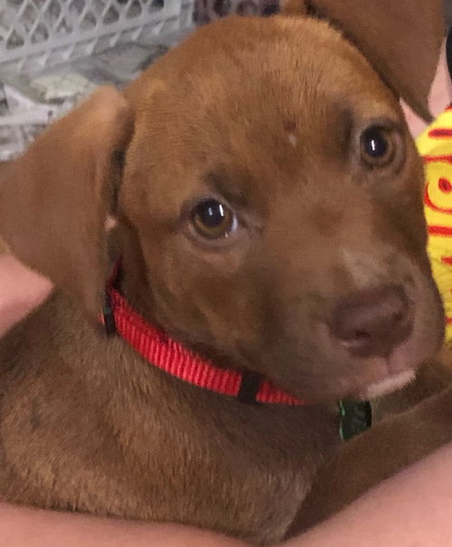 Winnie
