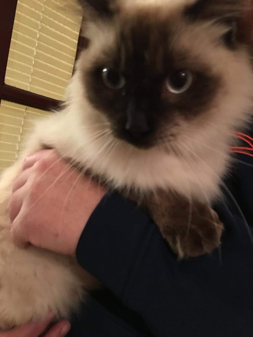Frankie
