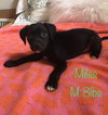 Miles