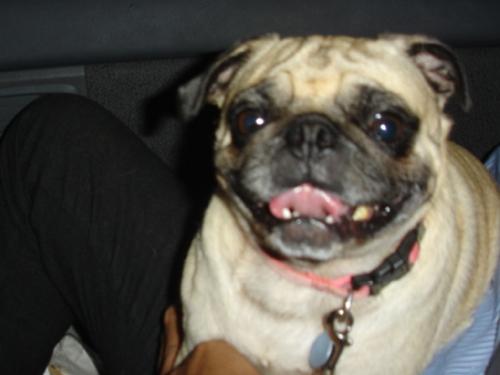 Lola