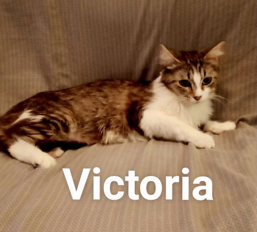 Victoria