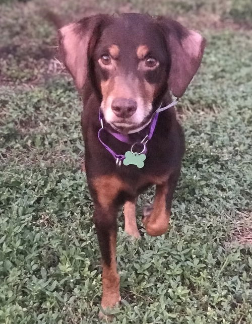 Kane