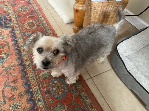 Charlie
