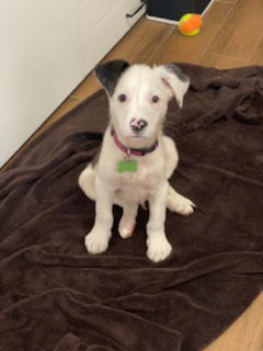 Kramer