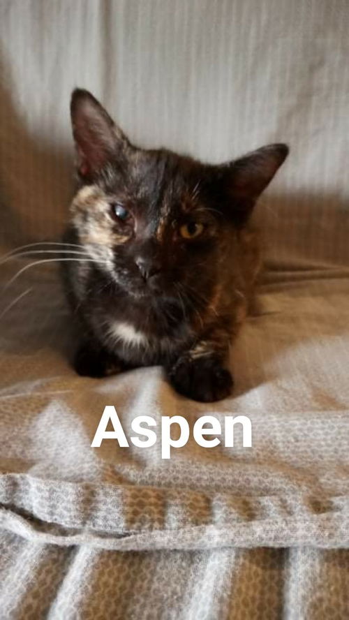 Aspen