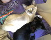 Lola and Coal