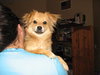 Buster Brown