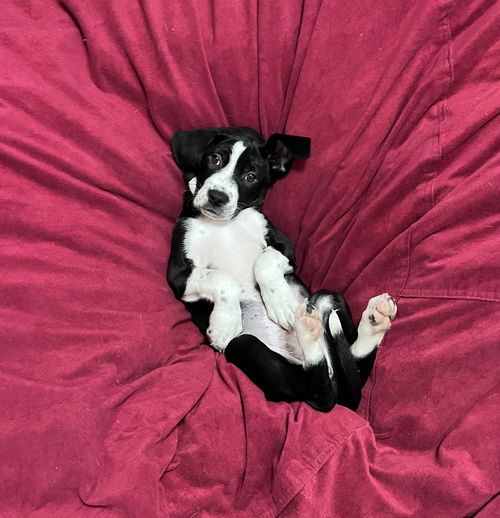 Winnie