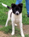 Murphy