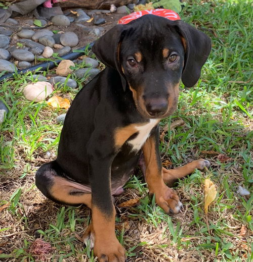 Ellie