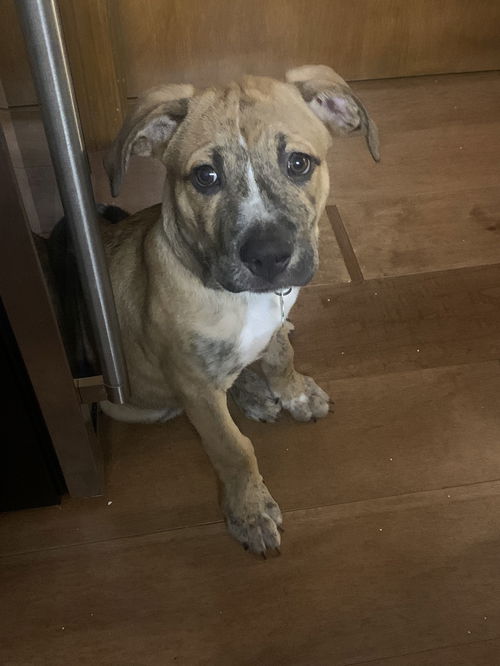 Marley