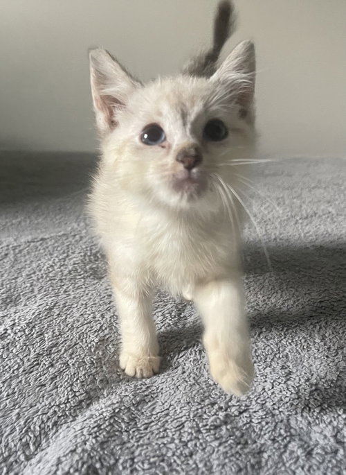 Cloud