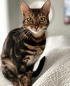 Nora