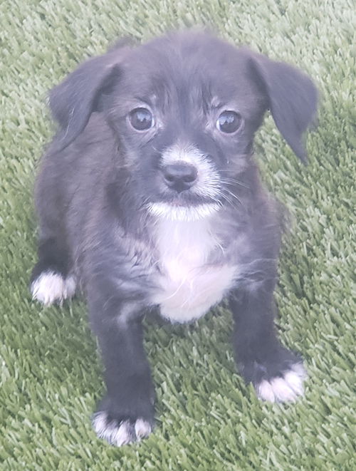Matilda