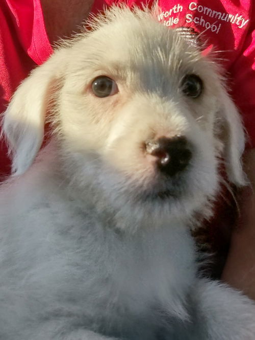 Mason