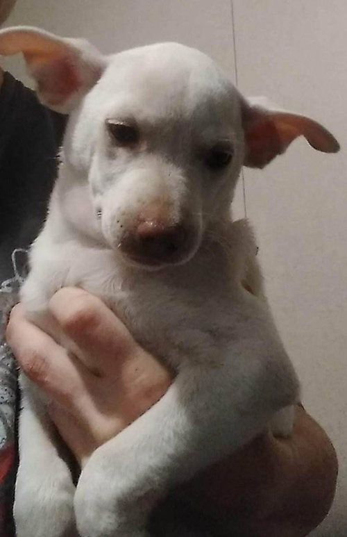 Casper
