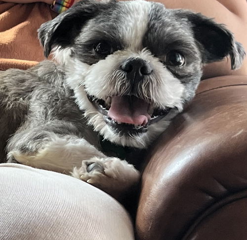 Tyson