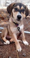 Matilda (Tilly)