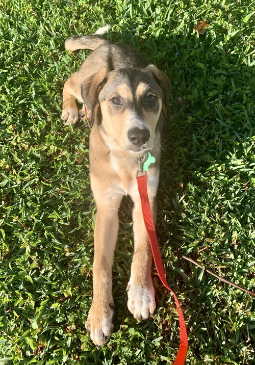 Matilda (Tilly)