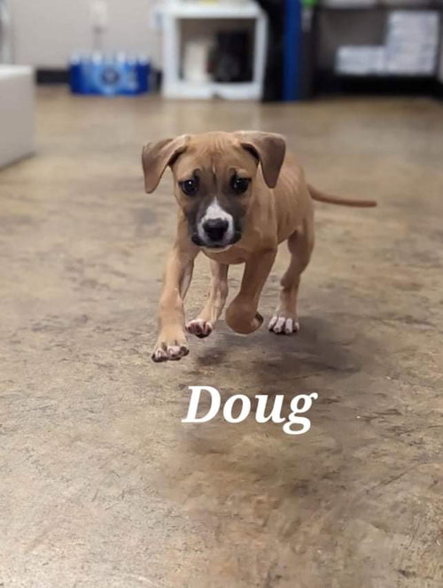 Doug