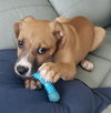 Doug