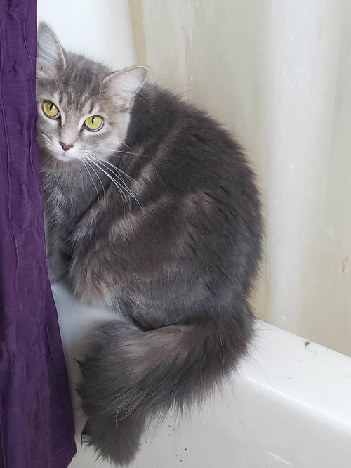 Precious