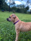 Annie