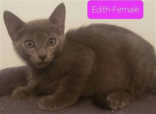 Edith