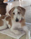 Lexie Lou  *